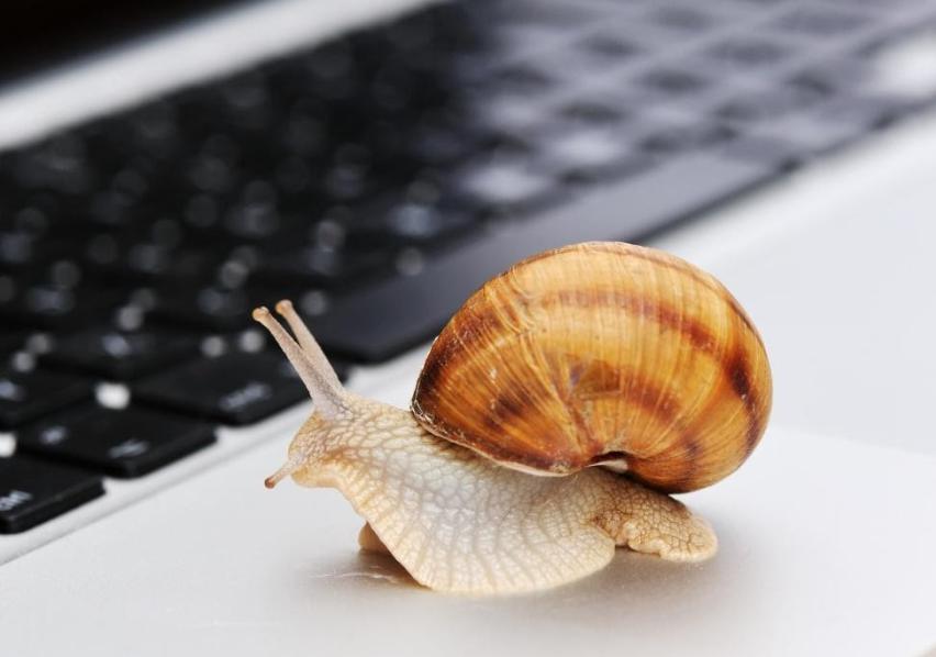 20元观赛！香港残奥项目票价惠民，计划十月发售